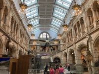 1. Reisetag – Ankunft in Glasgow – Kelvingrove Art Gallery & Museum