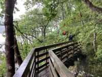 2. Reisetag – Loch Lomond & West Highland Way – Wanderung von Rowardennan nach Inversnaid