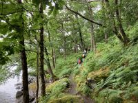 2. Reisetag – Loch Lomond & West Highland Way – Wanderung von Rowardennan nach Inversnaid