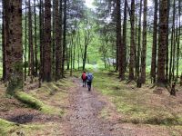 2. Reisetag – Loch Lomond & West Highland Way – Wanderung von Rowardennan nach Inversnaid