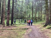 2. Reisetag – Loch Lomond & West Highland Way – Wanderung von Rowardennan nach Inversnaid