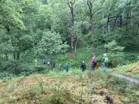 2. Reisetag – Loch Lomond & West Highland Way – Wanderung von Rowardennan nach Inversnaid