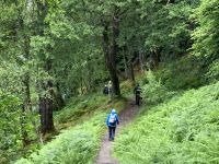 2. Reisetag – Loch Lomond & West Highland Way – Wanderung von Rowardennan nach Inversnaid