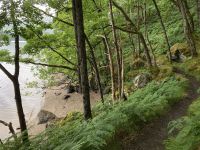 2. Reisetag – Loch Lomond & West Highland Way – Wanderung von Rowardennan nach Inversnaid