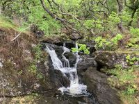 2. Reisetag – Loch Lomond & West Highland Way – Inversnaid Falls