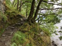 2. Reisetag – Loch Lomond & West Highland Way – Wanderung von Rowardennan nach Inversnaid