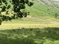 3. Reisetag – Von Glasgow nach Fort William – Wanderung im Glen Nevis
