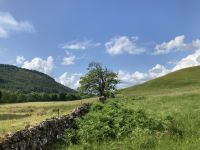 3. Reisetag – Von Glasgow nach Fort William – Wanderung im Glen Nevis