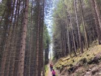 5. Reisetag – Durch das Great Glean nach Inverness – Wanderung auf dem Great Glen Way – Abstieg nach Invermoriston