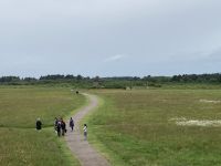 8. Reisetag – Von den Orkneys nach Inverness – Schlachtfeld von Culloden