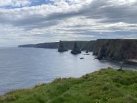 6. Reisetag – Von Grantown zu den Orkneys – Wanderung zu den Stacks of Duncansby
