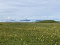 7. Reisetag – Erkundung der Orkney-Inseln – Blick zur Insel Hoy