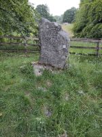 Piktischer Adlerstein, Strathpeffer