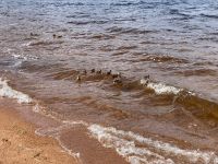 9. Reisetag – Von Inverness nach Edinburgh – Wanderung um den Loch Morlich im Cairngorms-Nationalpark