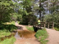 9. Reisetag – Von Inverness nach Edinburgh – Wanderung um den Loch Morlich im Cairngorms-Nationalpark