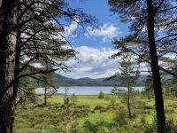 9. Reisetag – Von Inverness nach Edinburgh – Wanderung um den Loch Morlich im Cairngorms-Nationalpark