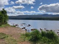 9. Reisetag – Von Inverness nach Edinburgh – Wanderung um den Loch Morlich im Cairngorms-Nationalpark