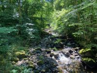 9. Reisetag – Von Inverness nach Edinburgh – Wanderung auf den Spuren von Robert Burns zu den „Birks of Aberfeldy“