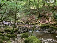 9. Reisetag – Von Inverness nach Edinburgh – Wanderung auf den Spuren von Robert Burns zu den „Birks of Aberfeldy“