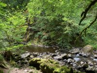 9. Reisetag – Von Inverness nach Edinburgh – Wanderung auf den Spuren von Robert Burns zu den „Birks of Aberfeldy“