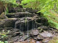 9. Reisetag – Von Inverness nach Edinburgh – Wanderung auf den Spuren von Robert Burns zu den „Birks of Aberfeldy“
