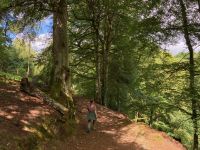 9. Reisetag – Von Inverness nach Edinburgh – Wanderung auf den Spuren von Robert Burns zu den „Birks of Aberfeldy“