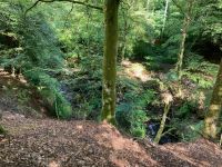 9. Reisetag – Von Inverness nach Edinburgh – Wanderung auf den Spuren von Robert Burns zu den „Birks of Aberfeldy“