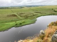 11. Reisetag – Von Edinburgh nach Dumfries – Wanderung am Hadrianswall – Schwäne mit Jungtieren im See unter uns