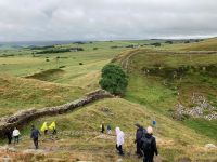 11. Reisetag – Von Edinburgh nach Dumfries – Wanderung am Hadrianswall – Abstieg zum berühmten Sycamore Tree
