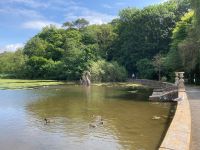 12. Reisetag – Von Dumfries nach Glasgow – Culzean Castle & Country Park – Drache im Schwanenteich