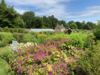 12. Reisetag – Von Dumfries nach Glasgow – Culzean Castle & Country Park – Walled Garden