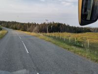 Kaputte Wälder, auch auf Lewis an der Harris