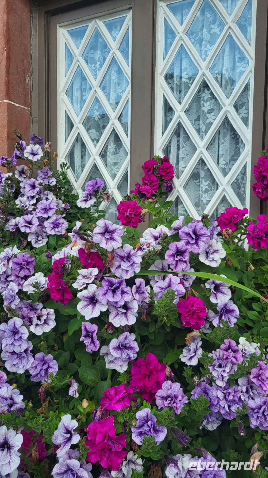 46 – Luss, Loch Lomond