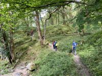2. Reisetag: Loch Lomond & West Highland Way – Wanderung von Rowardennan nach Inversnaid