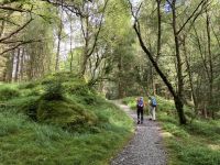 2. Reisetag: Loch Lomond & West Highland Way – Wanderung von Rowardennan nach Inversnaid
