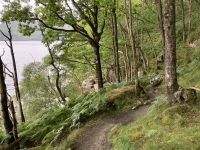 2. Reisetag: Loch Lomond & West Highland Way – Wanderung von Rowardennan nach Inversnaid