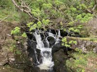 2. Reisetag: Loch Lomond & West Highland Way – Inversnaid Falls