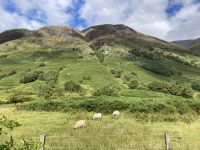 3. Reisetag – Von Glasgow nach Fort William – Kleine Wanderung im Glen Nevis