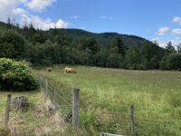 3. Reisetag – Von Glasgow nach Fort William – Kleine Wanderung im Glen Nevis