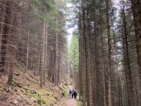 5. Reisetag – Durch das Great Glen nach Inverness – Wanderung auf dem Great Glen Way – Abstieg nach Invermoriston