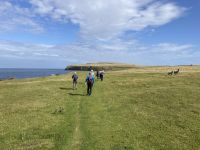 6. Reisetag – Von Inverness zu den Orkneys – Wanderung zu den Stacks of Duncansby