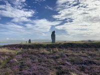 7. Reisetag – Erkundung der Orkney-Inseln – Ring of Brodgar