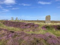 7. Reisetag – Erkundung der Orkney-Inseln – Ring of Brodgar