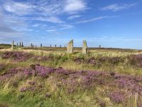 7. Reisetag – Erkundung der Orkney-Inseln – Ring of Brodgar