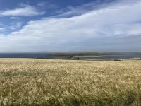 7. Reisetag – Erkundung der Orkney-Inseln – Panoramafahrt zu den Churchill Barriers