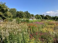 12. Reisetag – Von Dumfries nach Glasgow – Culzean Castle & Country Park – Walled Garden