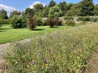 12. Reisetag – Von Dumfries nach Glasgow – Culzean Castle & Country Park – Walled Garden