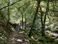 9. Reisetag – Von Inverness nach Edinburgh – Wanderung auf den Spuren von Robert Burns zu den „Birks of Aberfeldy“