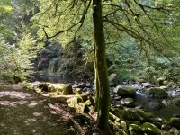 9. Reisetag – Von Inverness nach Edinburgh – Wanderung auf den Spuren von Robert Burns zu den „Birks of Aberfeldy“