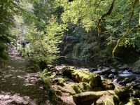 9. Reisetag – Von Inverness nach Edinburgh – Wanderung auf den Spuren von Robert Burns zu den „Birks of Aberfeldy“